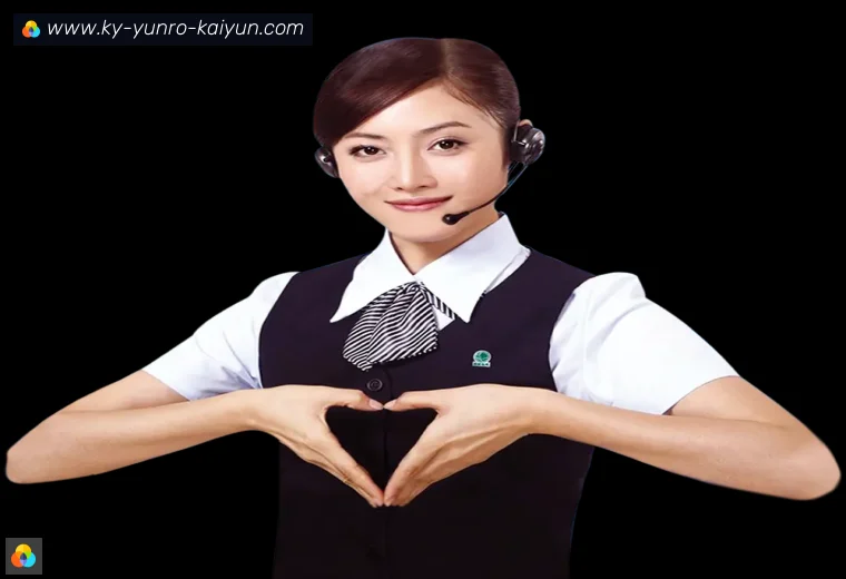 开云APP下载