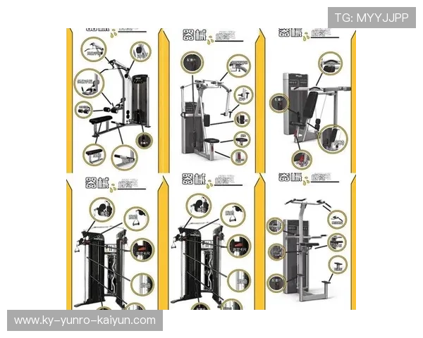 海南高档健身器材批发市场分析与采购指南