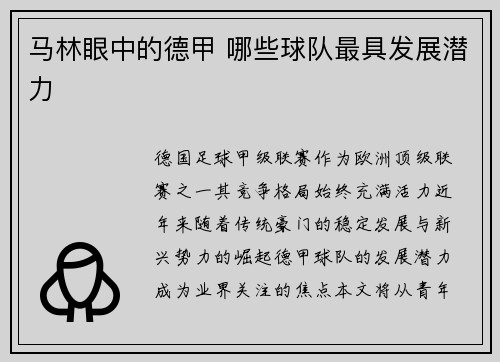 马林眼中的德甲 哪些球队最具发展潜力